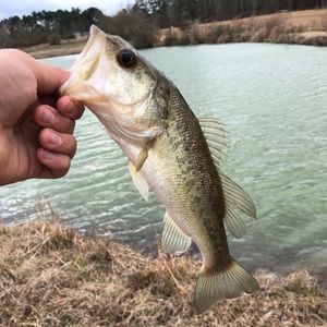 Meet your Posher, Gabe